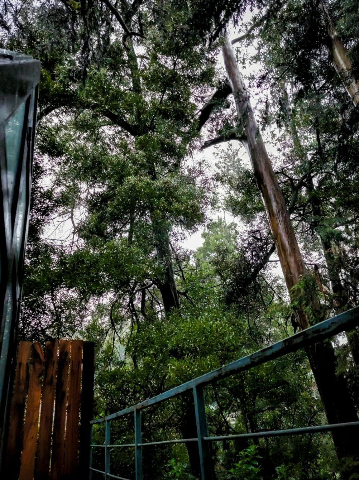 Woodhouse Hotel Ooty Exterior foto